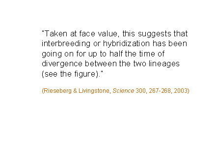 Slide #11. Taken at face value, this suggests that interbreeding or hybridization has been going on for up to half the time of divergence between the two lineages (see the figure).