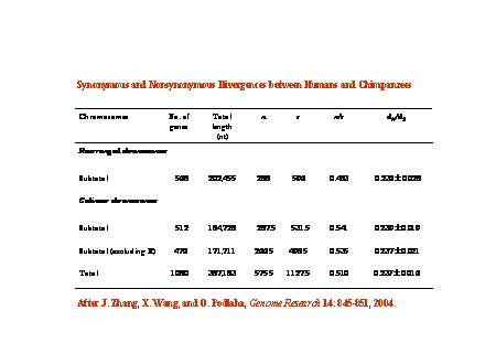 Slide #18. Synonymous and Nonsynonymous Divergences between Humans and Chimpanzees