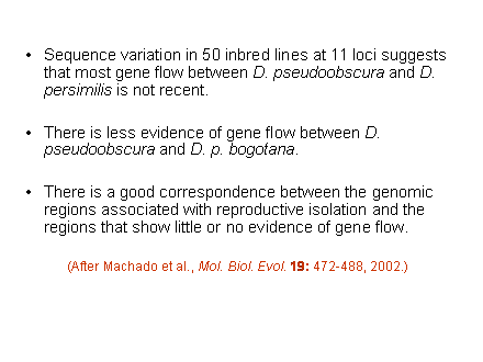 Slide #30. Sequence variation in 50 inbred lines at 11 loci suggests that most gene flow between D. pseudoobscura and D. persimilis is not recent.<BR><BR>There is less evidence of gene flow between D. pseudoobscura and D. p. bogotana.<BR><BR>There is a good correspondence between the genomic regions associated with reproductive isolation and the regions that show little or no evidence of gene flow.<BR><BR>(After Machado et al., Mol. Biol. Evol. 19: 472-488, 2002.)