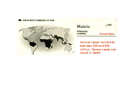 Slide #31. Annual cases worldwide between 300 and 500 million. Severe cases can result in death.