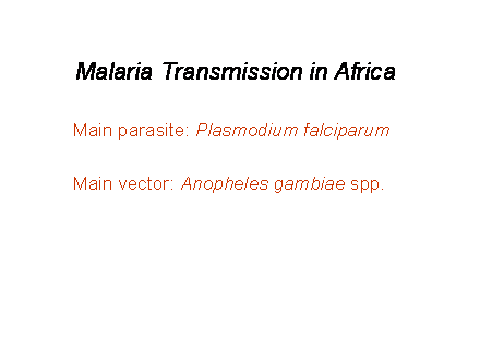 Slide #33. Malaria Transmission in Africa