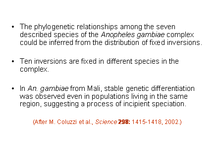 Slide #36. The phylogenetic relationships among the seven described species of the Anopheles gambiae complex could be inferred from the distribution of fixed inversions.<BR><BR>Ten inversions are fixed in different species in the complex.<BR><BR>In An. gambiae from Mali, stable genetic differentiation was observed even in populations living in the same region, suggesting a process of incipient speciation.<BR><BR>(After M. Coluzzi et al., Science 298: 1415-1418, 2002.)