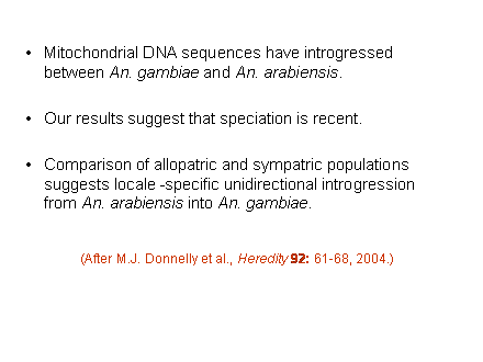 Slide #40. Mitochondrial DNA sequences have introgressed between An. gambiae and An. arabiensis.<BR><BR>Our results suggest that speciation is recent.<BR><BR>Comparison of allopatric and sympatric populations suggests locale -specific unidirectional introgression from An. arabiensis into An. gambiae.<BR><BR>(After M.J. Donnelly et al., Heredity 92: 61-68, 2004.)