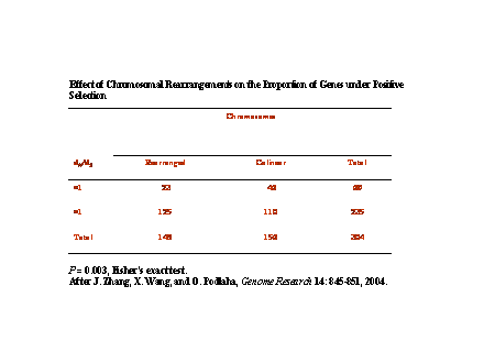 Slide #44. Effect of Chromosomal Rearrangements on the Proportion of Genes under Positive Selection
