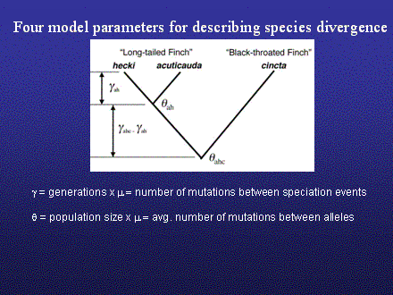 Slide #13.  