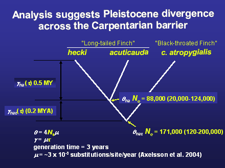 Slide #24. Analysis suggests Pleistocene divergence<BR>across the Carpentarian barrier