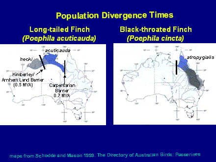 Slide #26. hecki