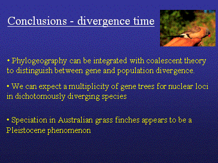 Slide #27. Conclusions - divergence time