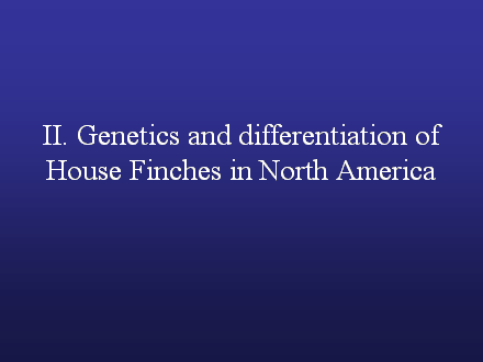 Slide #28. II. Genetics and differentiation of House Finches in North America