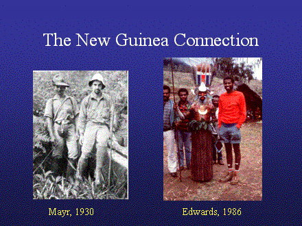 Slide #3. The New Guinea Connection