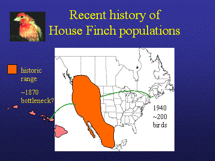 Slide #30. Recent history of 