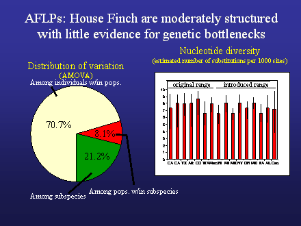 Slide #32. 0
