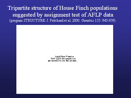 Slide #33. Tripartite structure of House Finch populations<BR>suggested by assignment test of AFLP data<BR>(program STRUCTURE: J. Pritchard et al. 2000. Genetics 155: 945-959)