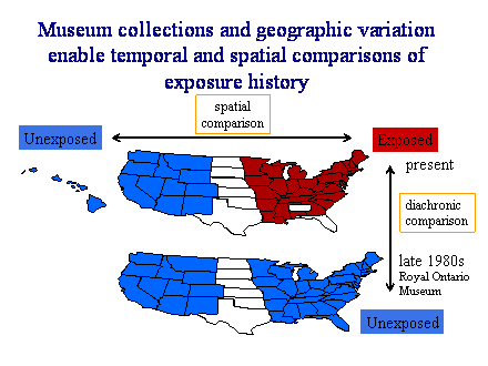 Slide #34. Museum collections and geographic variation enable temporal and spatial comparisons of exposure history