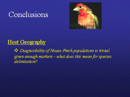 Slide #35. Conclusions