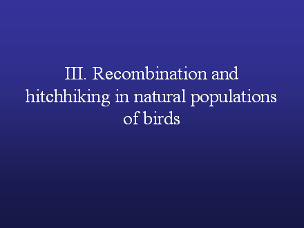 Slide #36. III. Recombination and hitchhiking in natural populations of birds
