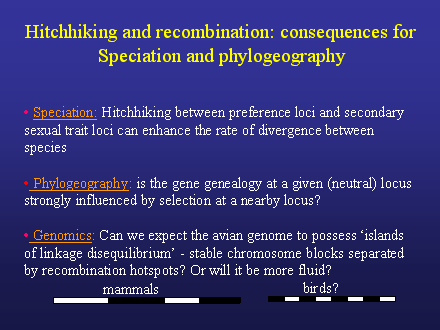 Slide #45. Hitchhiking and recombination: consequences for <BR>Speciation and phylogeography