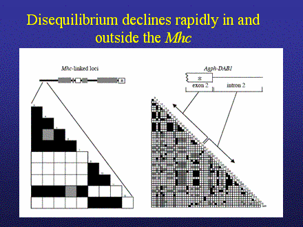 Slide #48. Disequilibrium declines rapidly in and