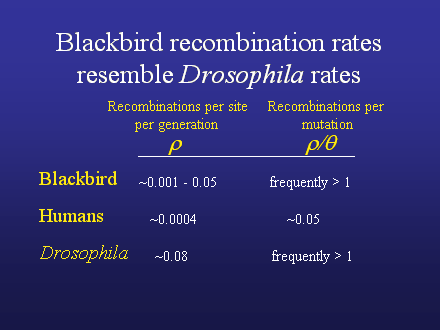 Slide #50. Blackbird recombination rates