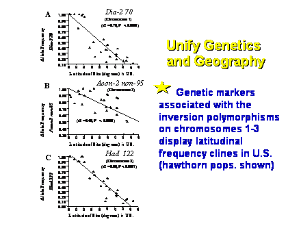 Slide #16. Unify Genetics <BR>and Geography