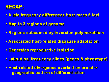 Slide #17.  Allele frequency differences host races 6 loci<BR><BR> Map to 3 regions of genome<BR><BR> Regions subsumed by inversion polymorphism<BR><BR> Associated host-related diapause adaptation<BR><BR> Generates reproductive isolation<BR><BR> Latitudinal frequency clines (genes & phenotype)<BR><BR> Host-related divergence overlaid on broader <BR>     geographic pattern of differentiation