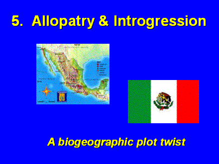 Slide #18. 5.  Allopatry & Introgression