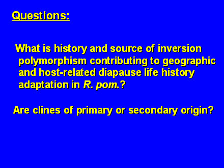Slide #19. Questions: