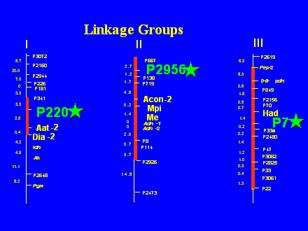Slide #20. -2