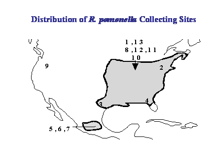 Slide #21. Distribution of R. pomonella Collecting Sites