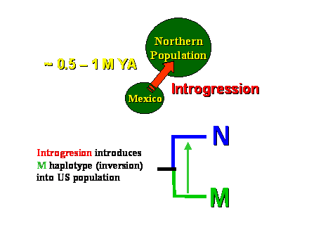 Slide #29. Northern<BR>Population
