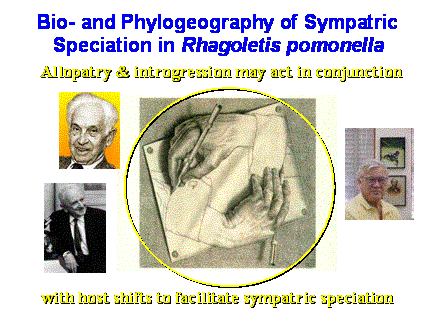 Slide #3. Allopatry & introgression may act in conjunction <BR>  <BR><BR><BR><BR><BR><BR><BR><BR><BR><BR>with host shifts to facilitate sympatric speciation