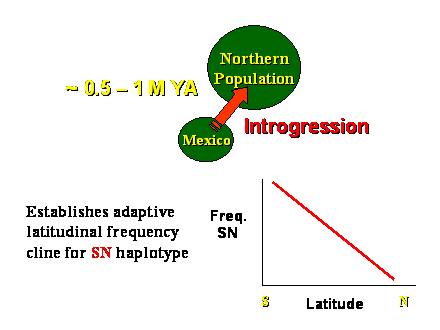 Slide #31. Northern<BR>Population