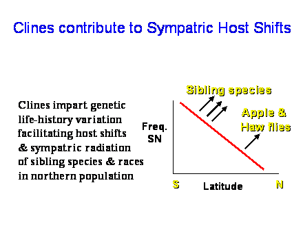Slide #32. Clines impart genetic <BR>life-history variation <BR>facilitating host shifts <BR>& sympatric radiation <BR>of sibling species & races <BR>in northern population