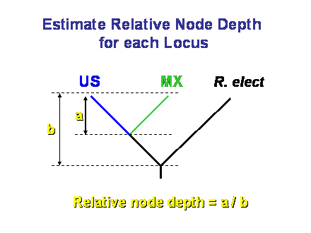 Slide #37. US              MX       R. elect 
