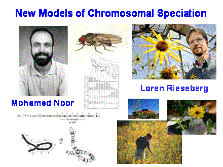 Slide #40. Mohamed Noor