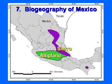 Slide #42. Altiplano