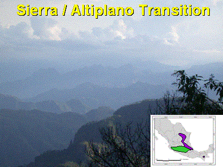 Slide #47. Sierra / Altiplano Transition