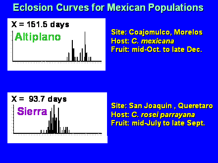 Slide #48. Eclosion Curves for Mexican Populations