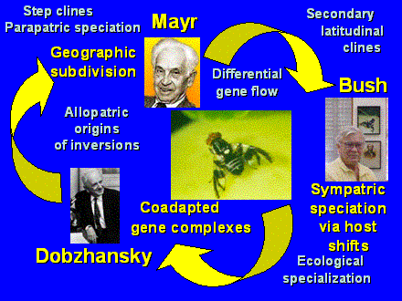 Slide #50. Geographic <BR>subdivision