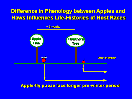 Slide #51.  