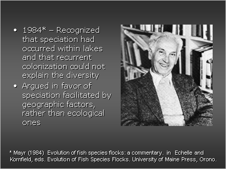 Slide #10. 1984*  Recognized that speciation had occurred within lakes and that recurrent colonization could not explain the diversity<BR>Argued in favor of speciation facilitated by geographic factors, rather than ecological ones