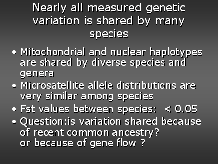 Slide #15. Nearly all measured genetic variation is shared by many species