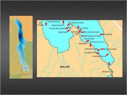 Slide #17. maps