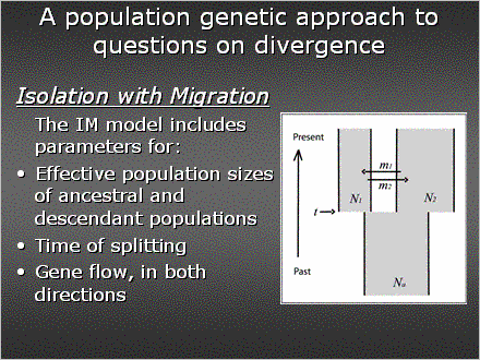 Slide #18. A population genetic approach to questions on divergence 