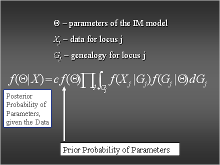 Slide #22.                   	T  parameters of the IM model<BR>		Xj  data for locus j           <BR>		Gj  genealogy for locus j