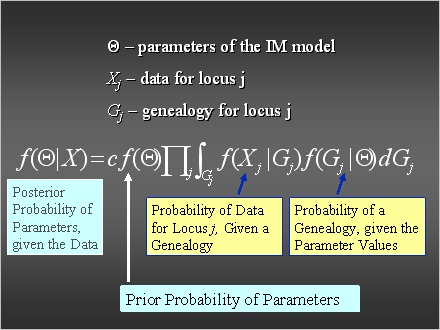 Slide #23.                   	T  parameters of the IM model<BR>		Xj  data for locus j           <BR>		Gj  genealogy for locus j