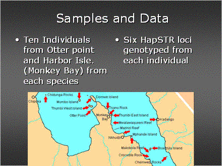 Slide #32. Samples and Data