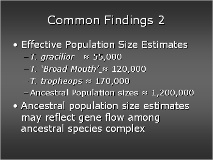 Slide #41. Common Findings 2