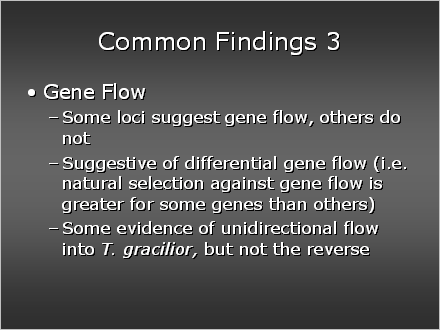 Slide #42. Common Findings 3