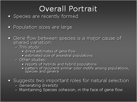 Slide #44. Overall Portrait